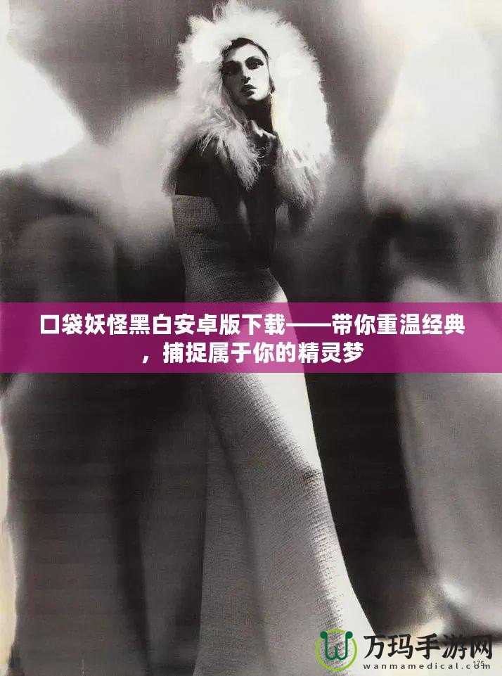 口袋妖怪黑白安卓版下載——帶你重溫經典，捕捉屬于你的精靈夢