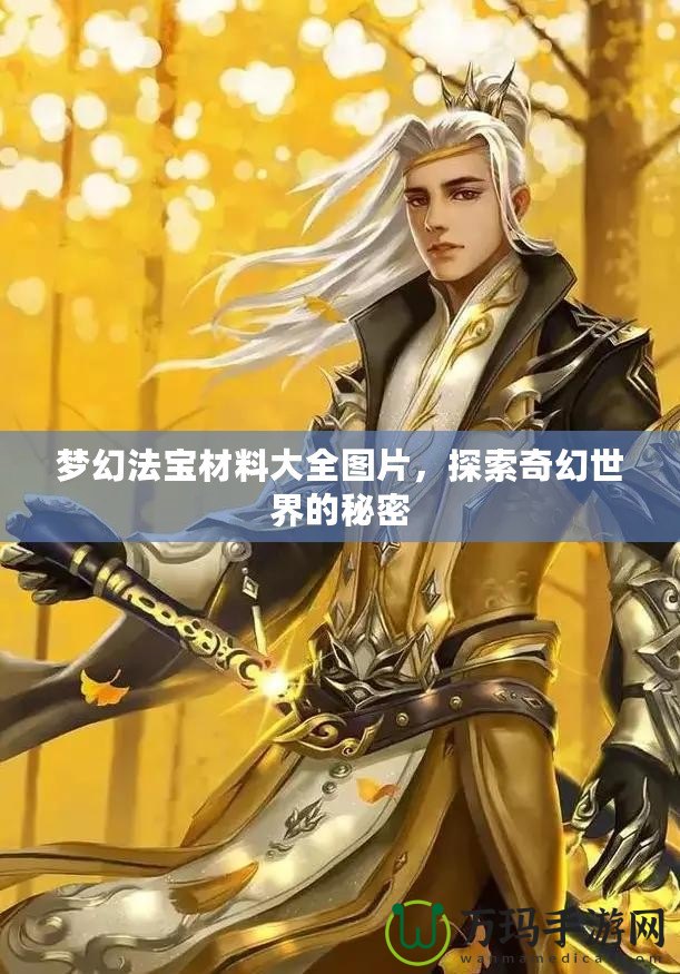 夢(mèng)幻法寶材料大全圖片，探索奇幻世界的秘密
