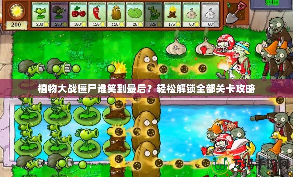植物大戰僵尸誰笑到最后？輕松解鎖全部關卡攻略