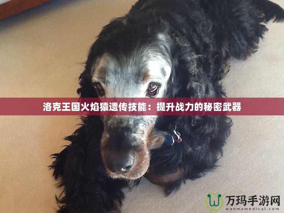 洛克王國火焰猿遺傳技能：提升戰力的秘密武器