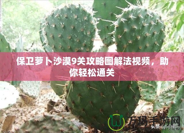 保衛蘿卜沙漠9關攻略圖解法視頻，助你輕松通關