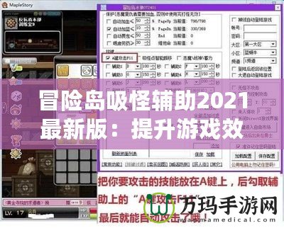 冒險(xiǎn)島吸怪輔助2021最新版：提升游戲效率，助力玩家飛速升級(jí)！