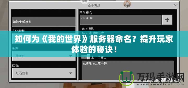 如何為《我的世界》服務(wù)器命名？提升玩家體驗的秘訣！