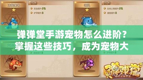 彈彈堂手游寵物怎么進(jìn)階？掌握這些技巧，成為寵物大師！