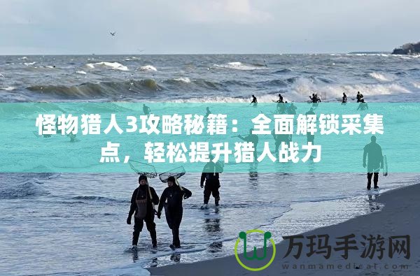 怪物獵人3攻略秘籍：全面解鎖采集點(diǎn)，輕松提升獵人戰(zhàn)力