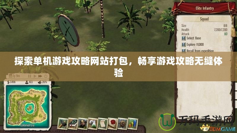 探索單機游戲攻略網(wǎng)站打包，暢享游戲攻略無縫體驗