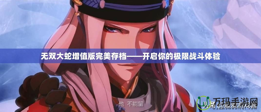 無雙大蛇增值版完美存檔——開啟你的極限戰(zhàn)斗體驗(yàn)
