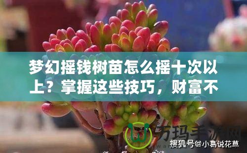 夢幻搖錢樹苗怎么搖十次以上？掌握這些技巧，財富不再遙不可及！