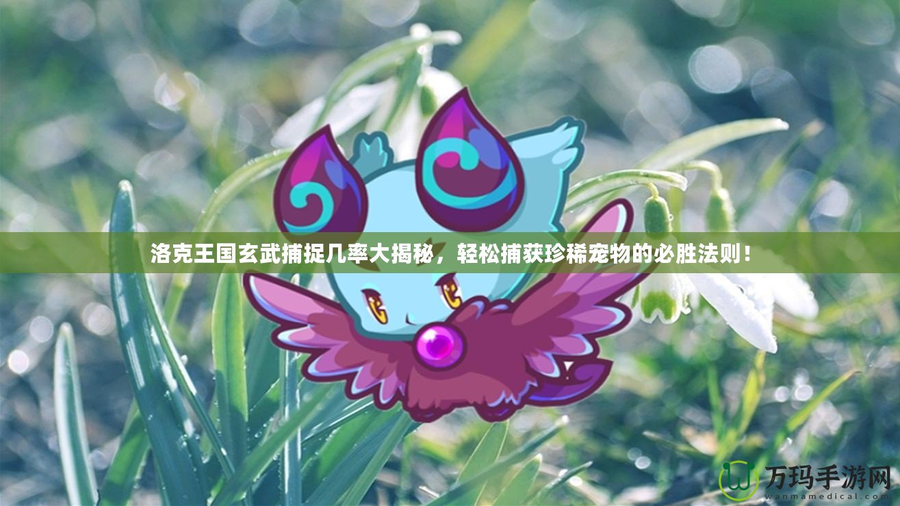 洛克王國玄武捕捉幾率大揭秘，輕松捕獲珍稀寵物的必勝法則！