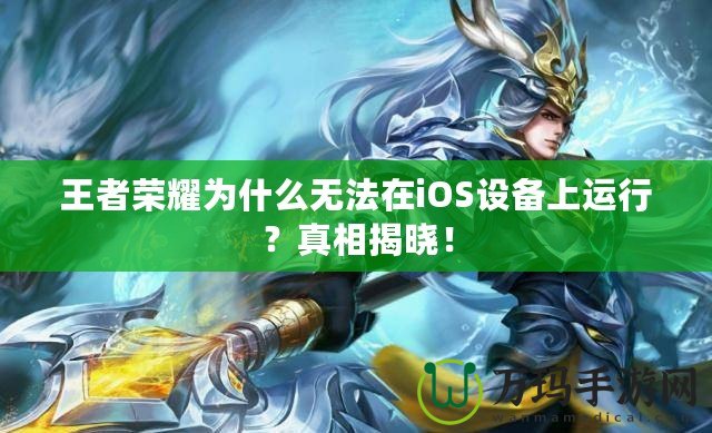 王者榮耀為什么無(wú)法在iOS設(shè)備上運(yùn)行？真相揭曉！