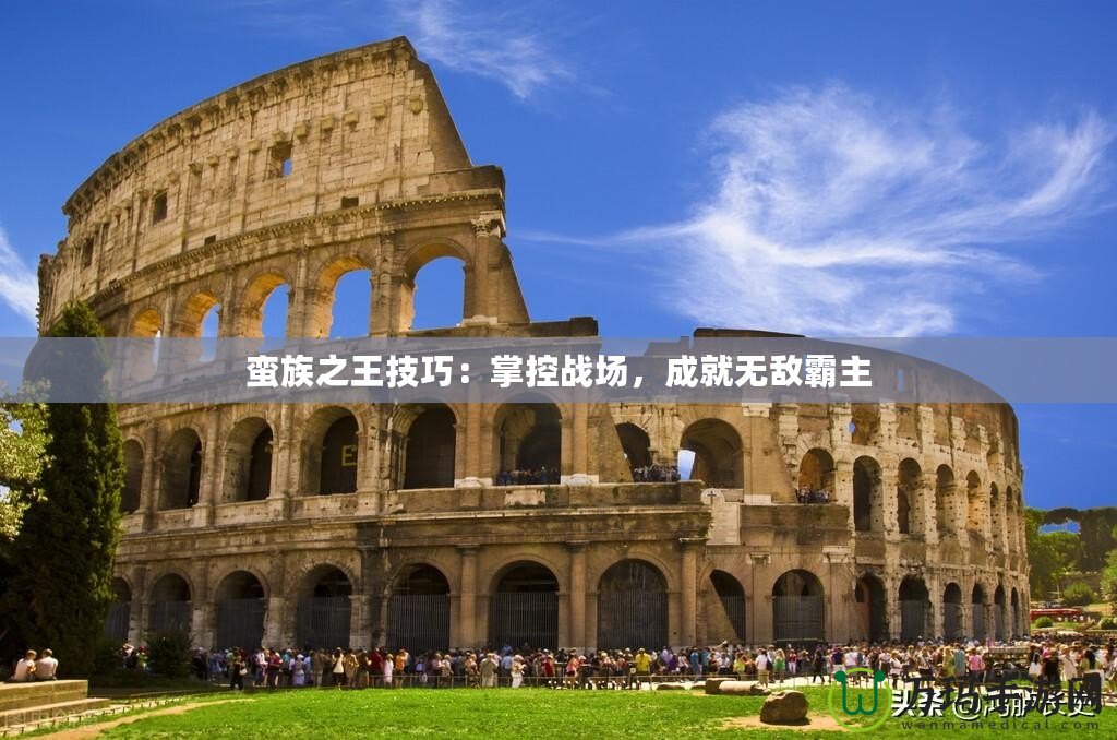 蠻族之王技巧：掌控戰場，成就無敵霸主